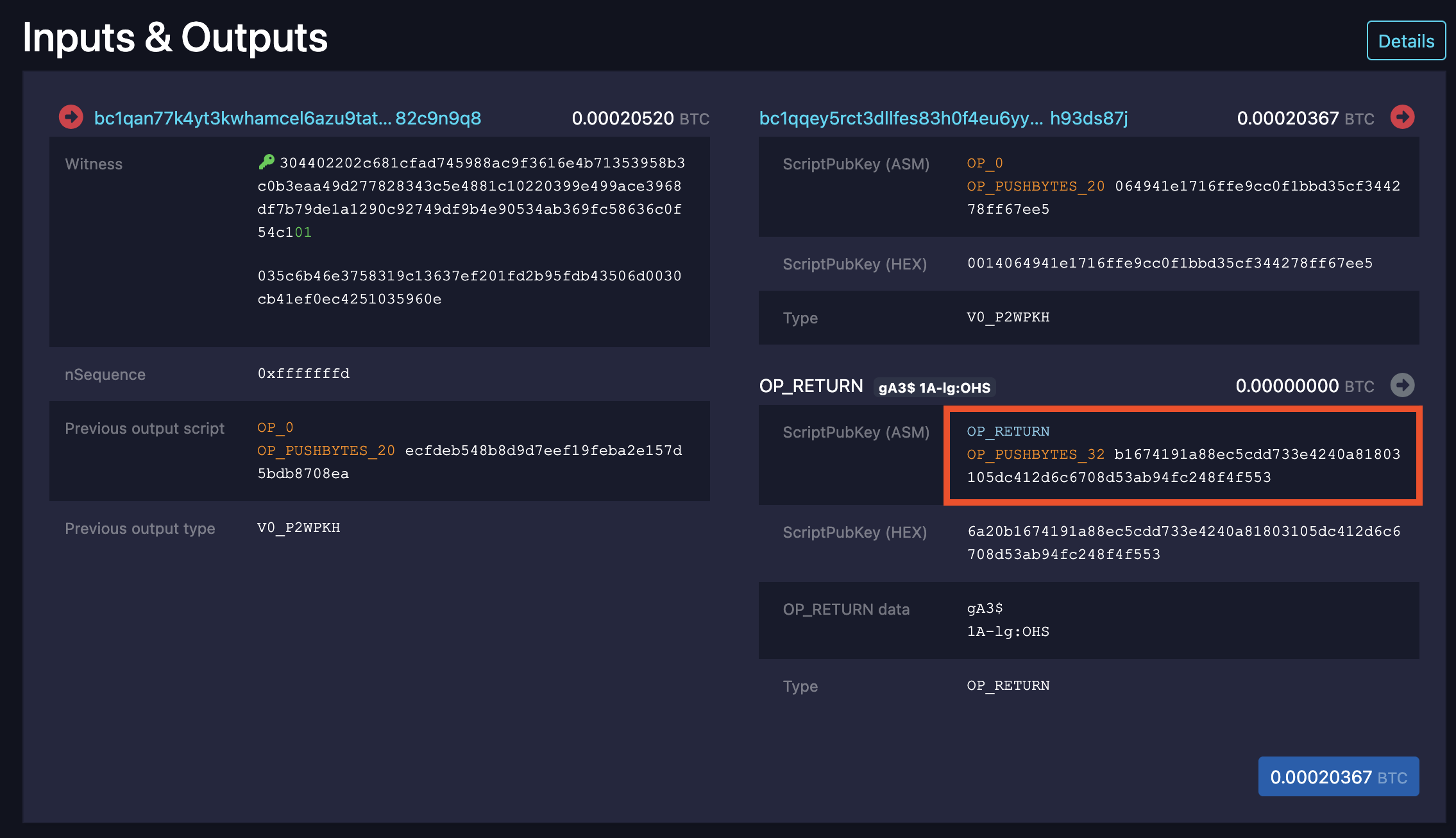 Bitcoin transaction details showing OP_RETURN